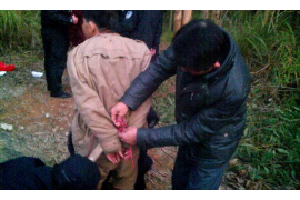 洛宁洛宁的要账公司在催收过程中的策略和技巧有哪些？